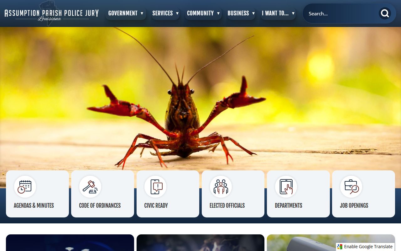 Assumption Parish Clerk website for genealogy records
